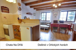 Отель Chata Na Dříši, Дестне У Орлицких Горах